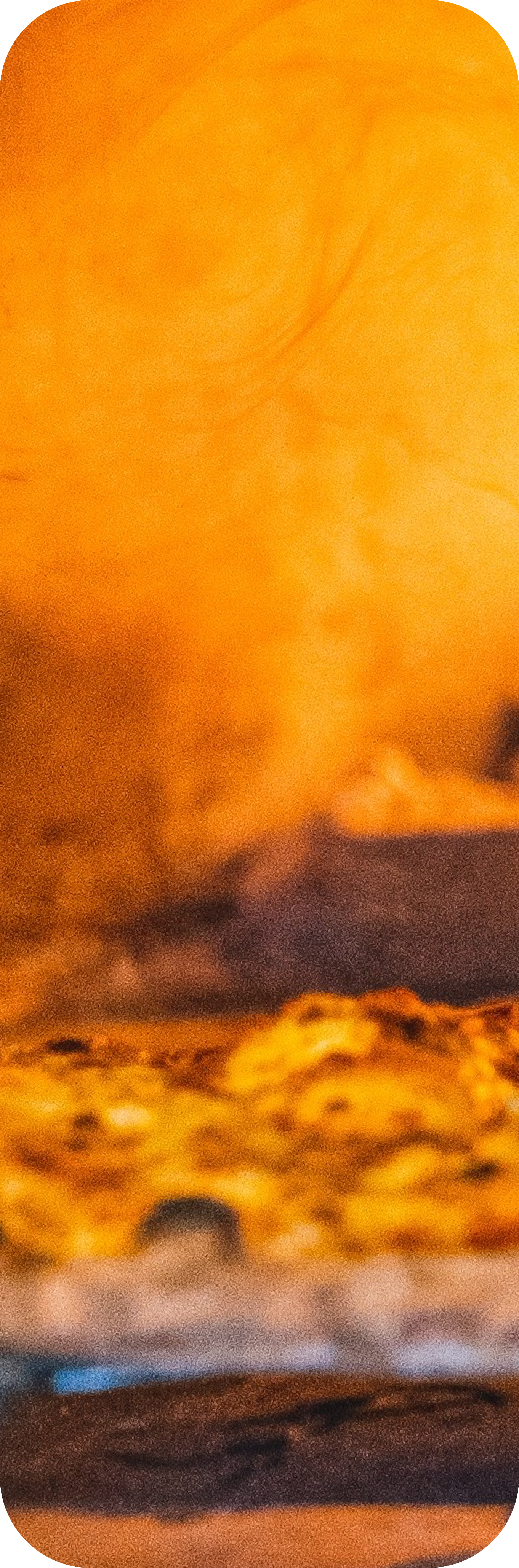 Wood fired oven flame